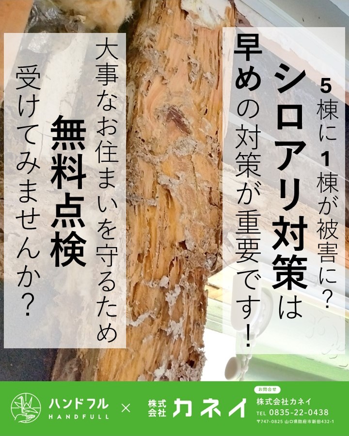 住まいの無料点検、受けてみませんか＞